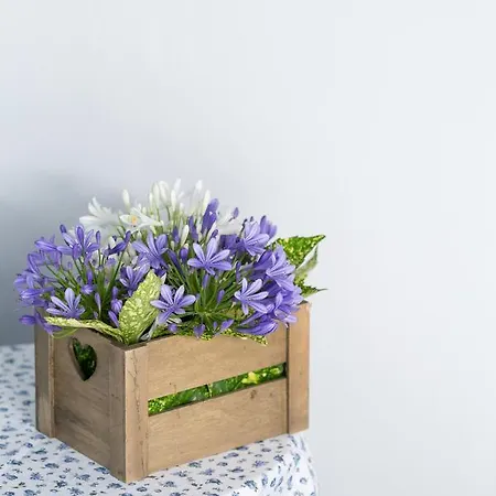 Holiday home Dussaiga - La Casa Di Rina *